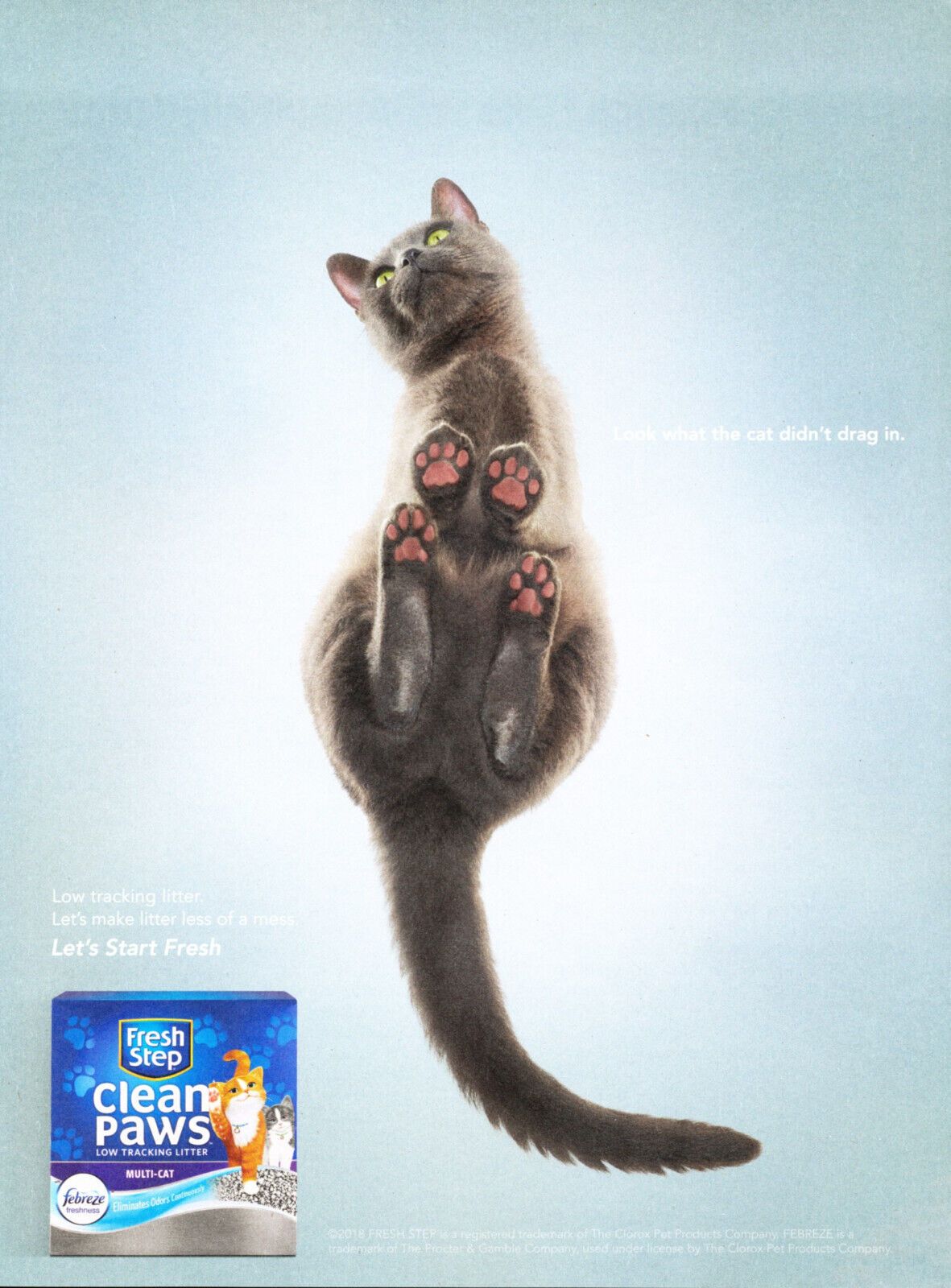 Poster: Grey cat photographed from below through glass, showing clean pink paw pads