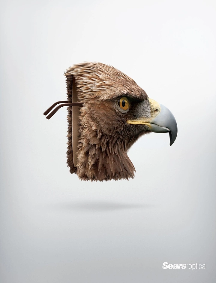 Opticians & Eye Care creative ad: Eagle head sliced flat like a spectacle frame with glasses arms at the back