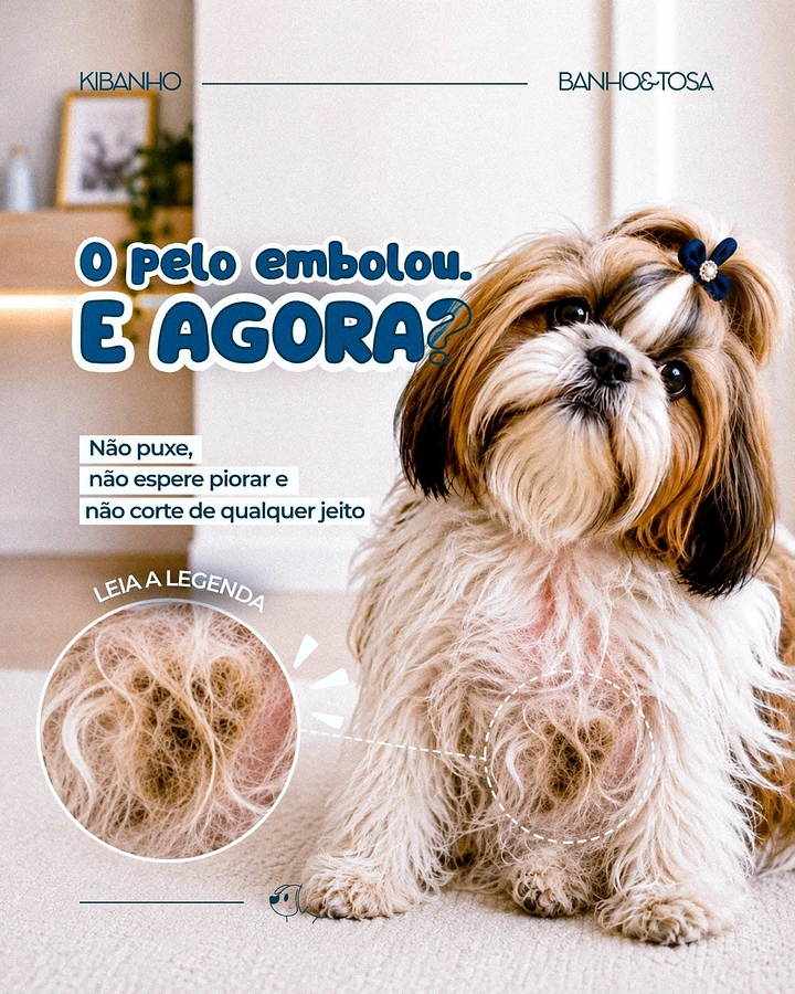 Pet Grooming creative ad: Matted fur magnifier callout, bold headline