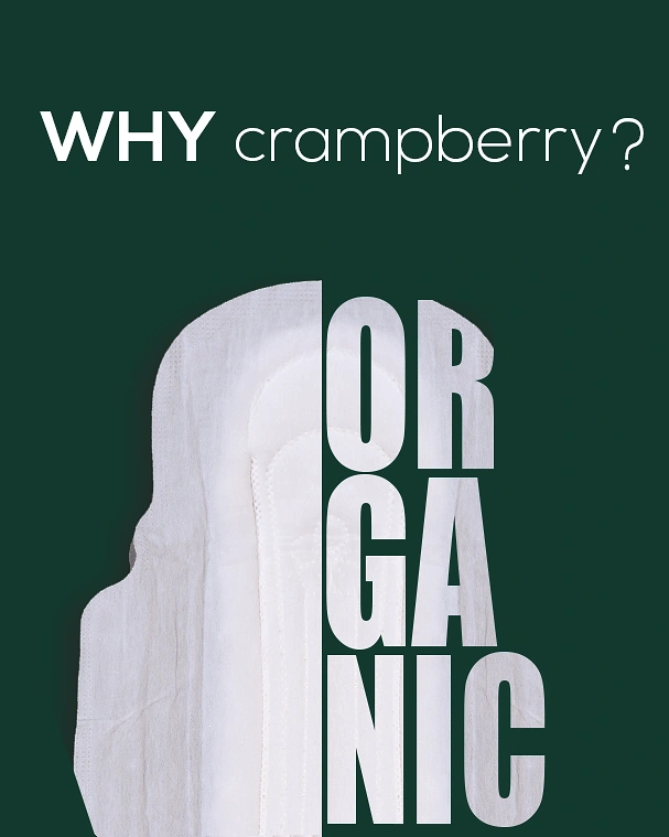 Period Care & Feminine Hygiene creative ad: typography integrated cleverly into product silhouette