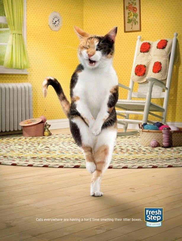 Pets creative ad: Calico cat dancing on hind legs with eyes shut in a grandma-style room