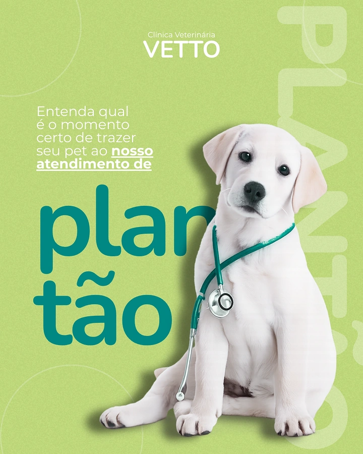 Veterinary Clinics creative ad: White Labrador puppy wearing a stethoscope