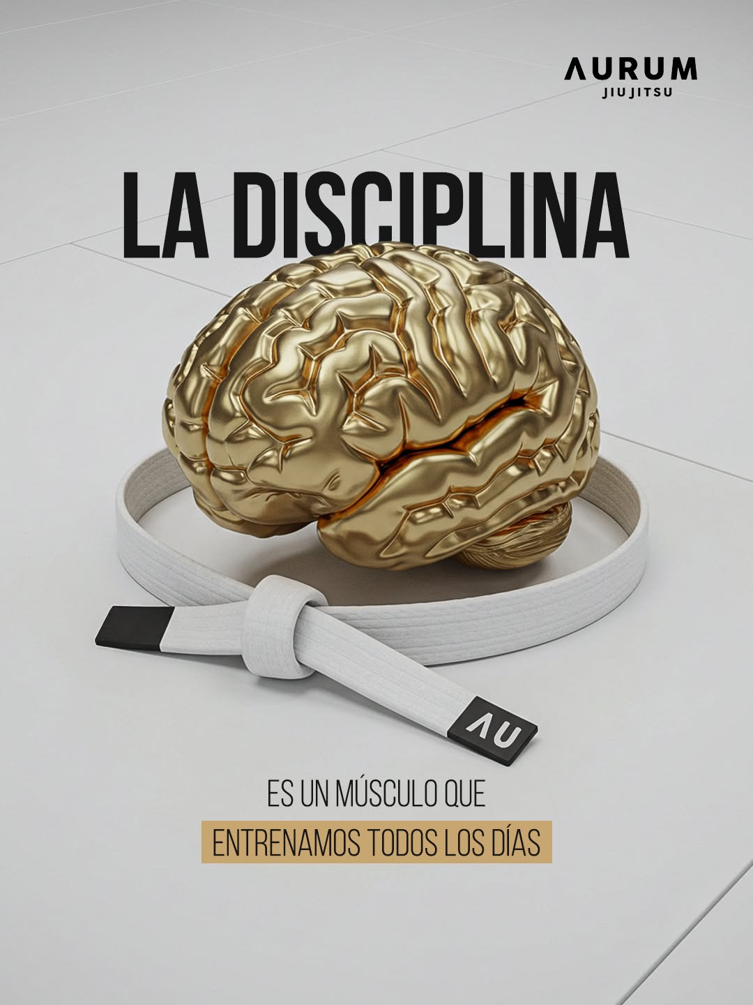Instagram post: Gold metallic brain encircled by a white jiu-jitsu belt