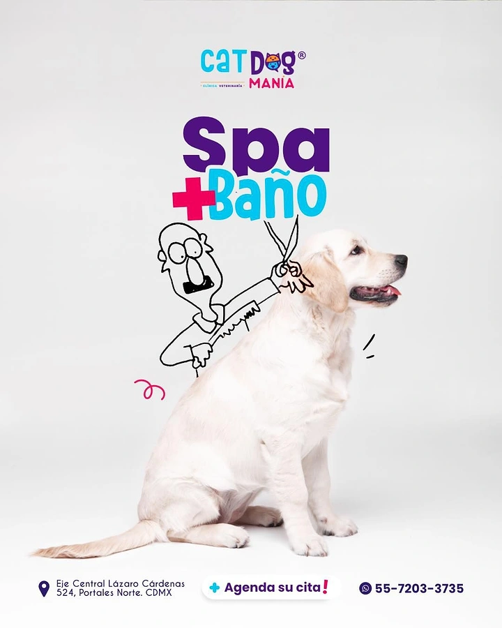 Pet Grooming creative ad: Doodle groomer illustration over real dog photo