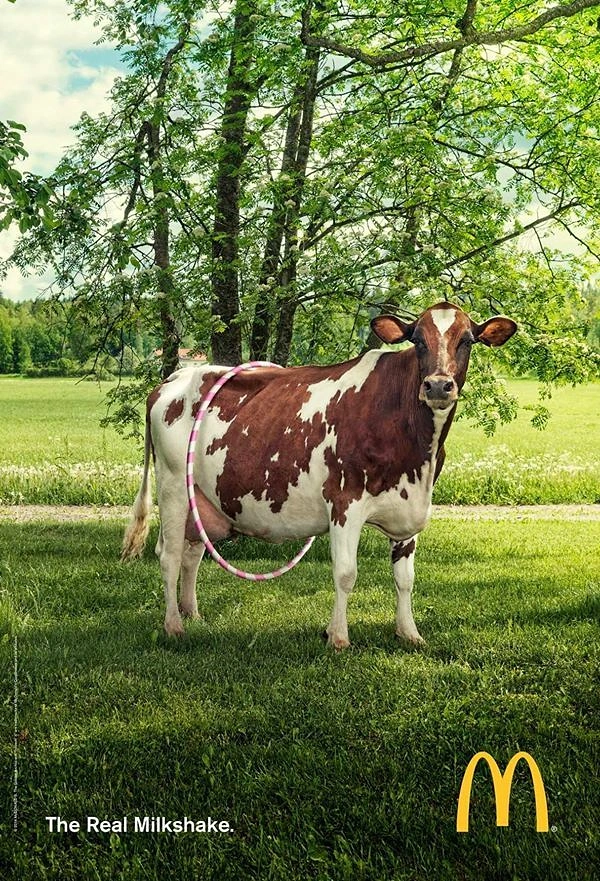 Dairy Brands creative ad: Cow with straw: the real milkshake