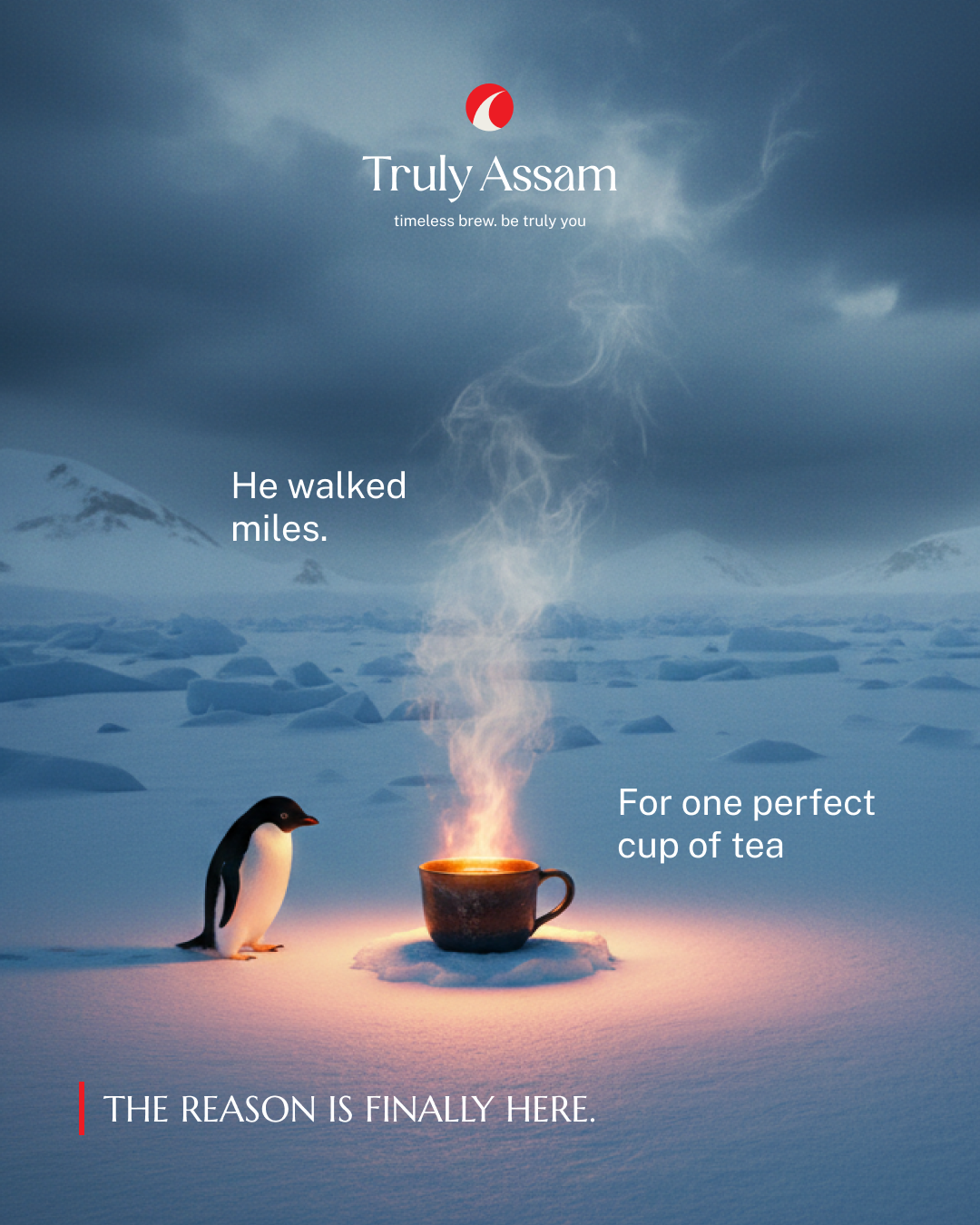 Instagram post: Penguin walked miles for tea story