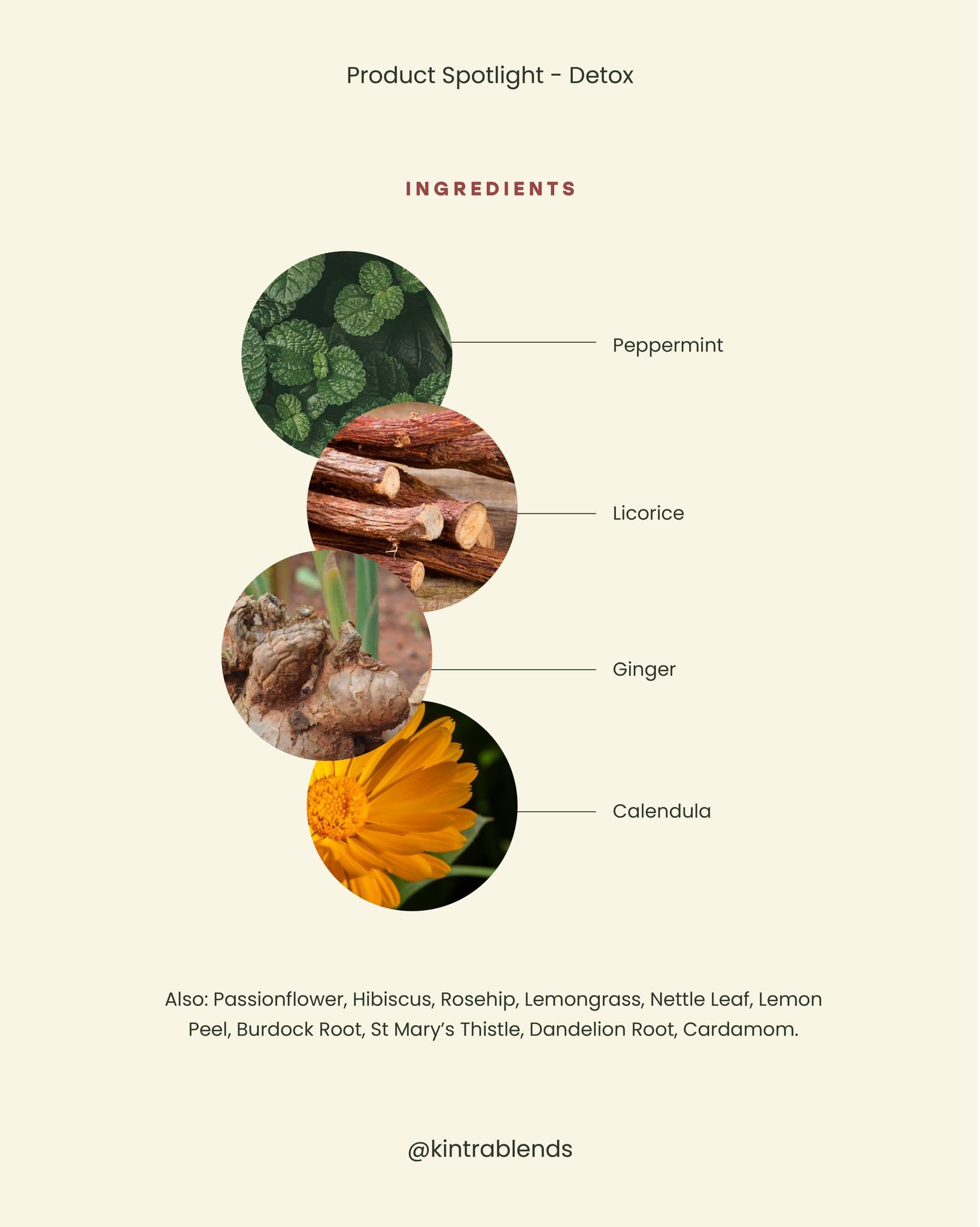 Instagram post: Split leaves-to-brewed-cup half composition, slide 4