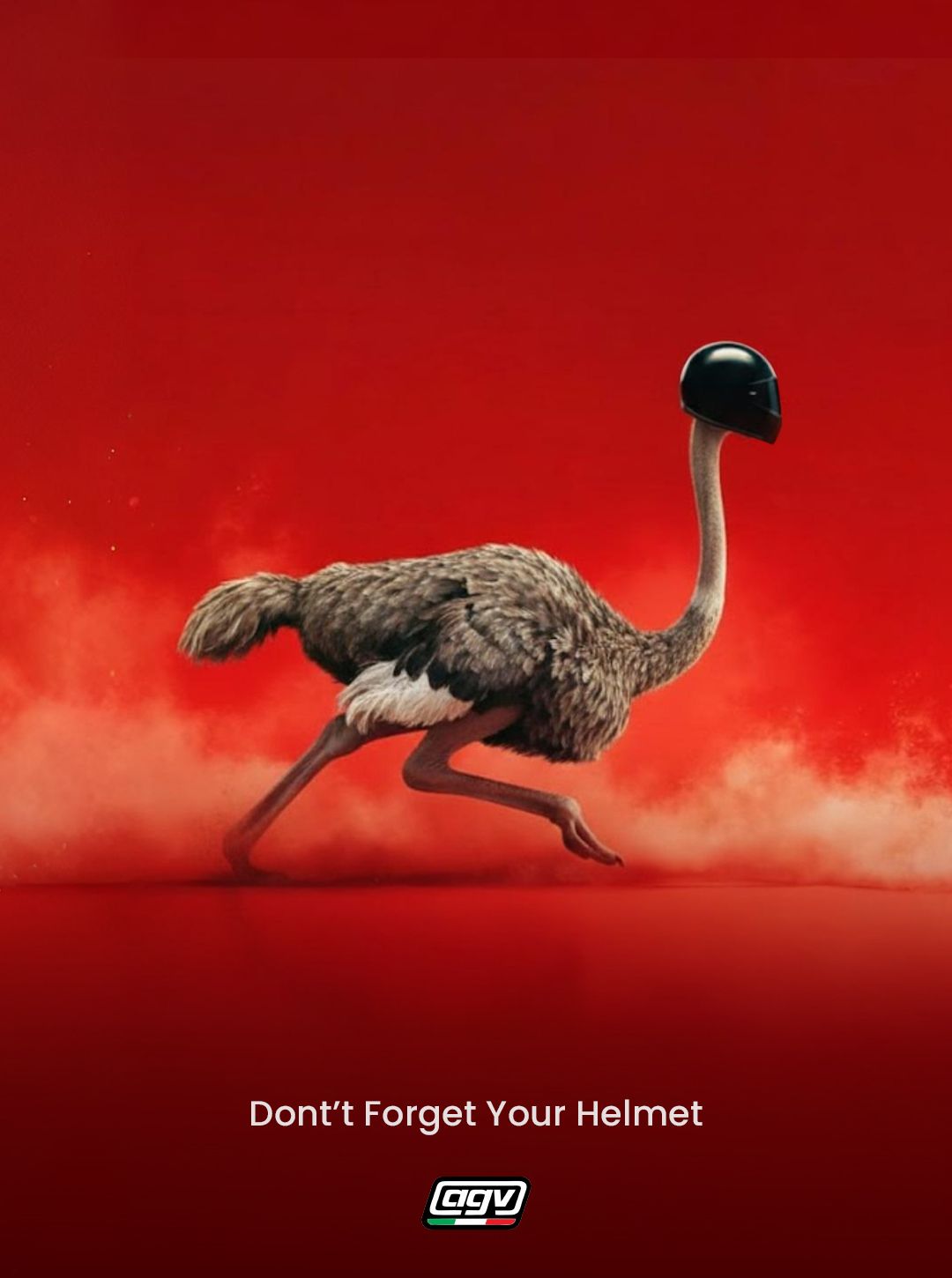 Instagram post: Ostrich hiding-head safety metaphor