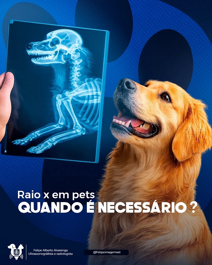 Veterinary Clinics creative ad: Golden retriever looking at a hand-held dog x-ray