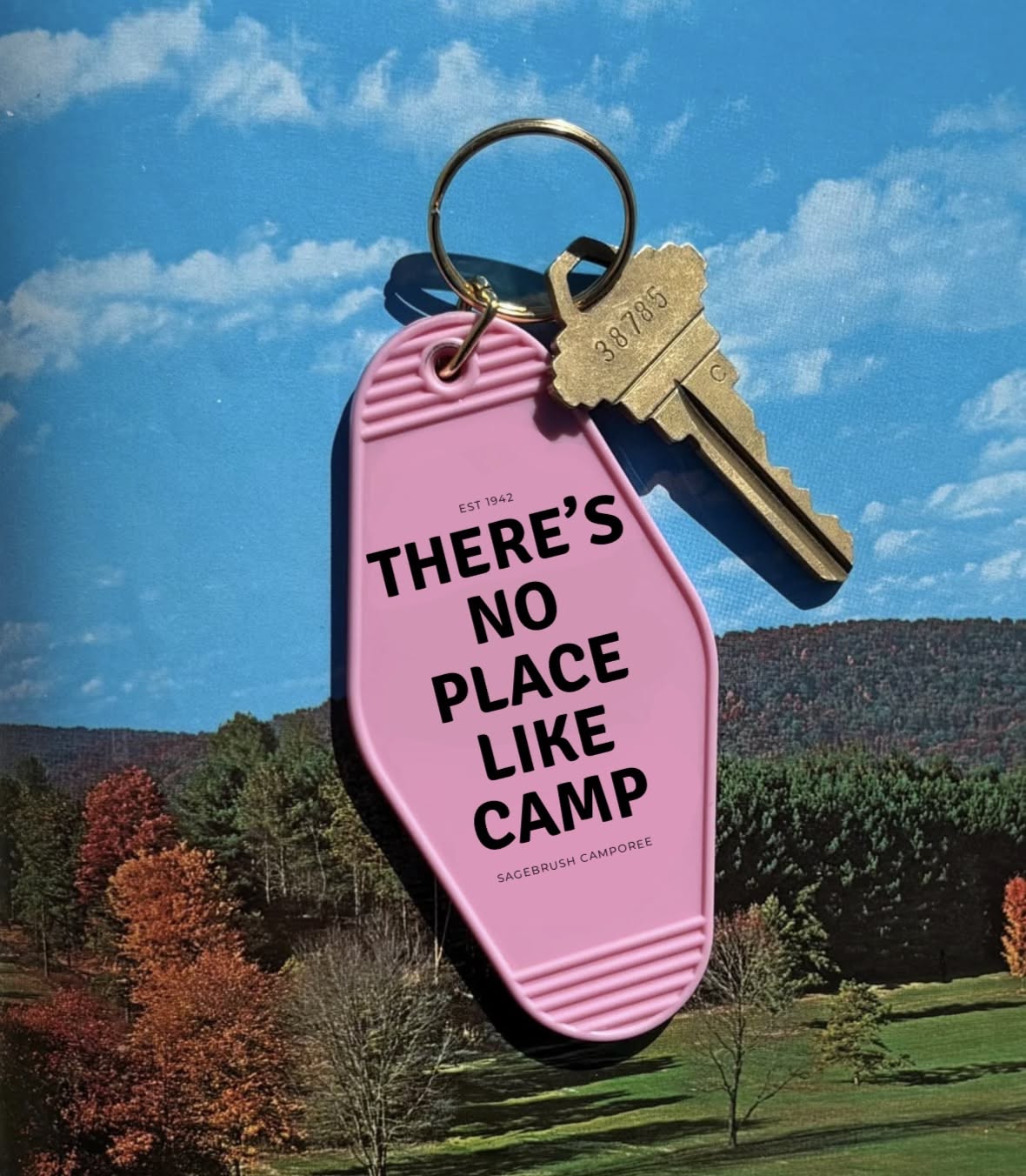 Instagram post: Luggage tag delivers camp wordplay