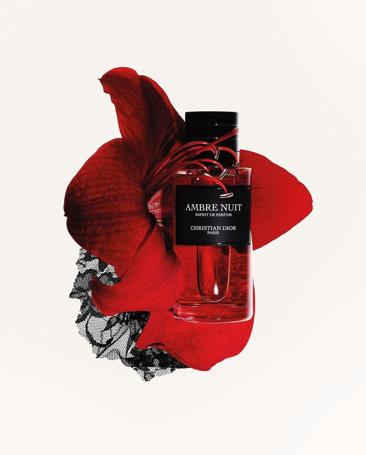 Instagram post: Red perfume bottle over a crimson amaryllis bloom and black lace