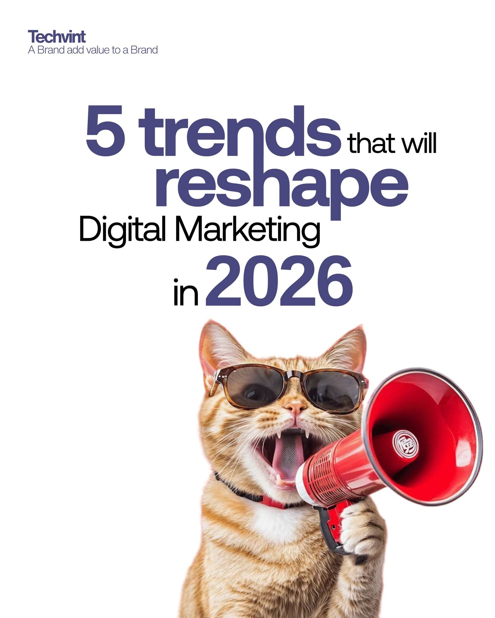 Cool cat shouting through megaphone, witty