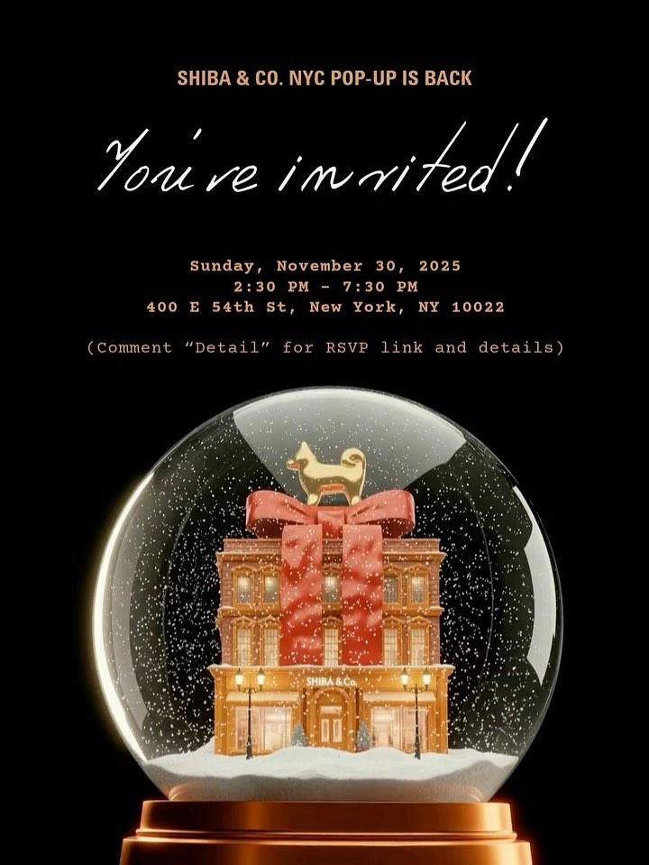Pets creative ad: Snow globe containing a storefront wrapped in a red bow with a gold dog on top