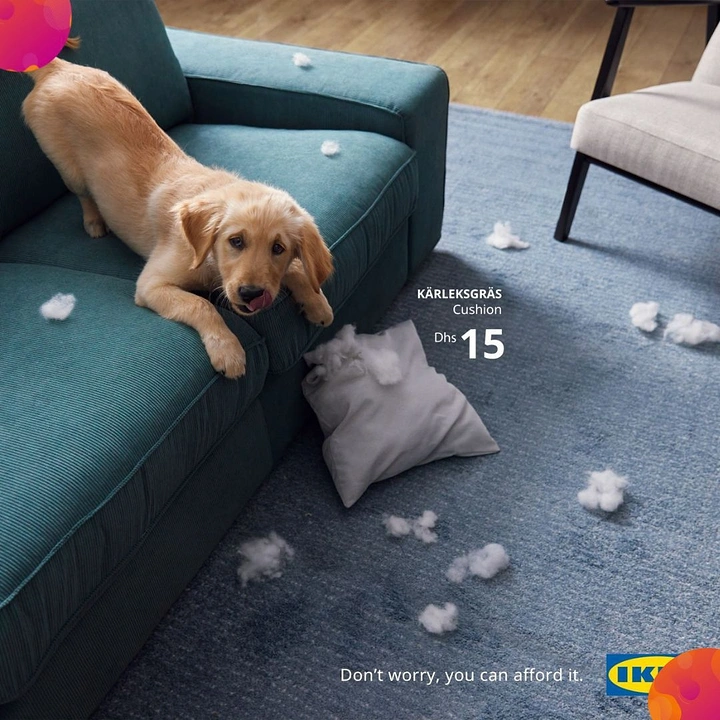 Pets creative ad: Guilty golden retriever puppy beside a ripped cushion