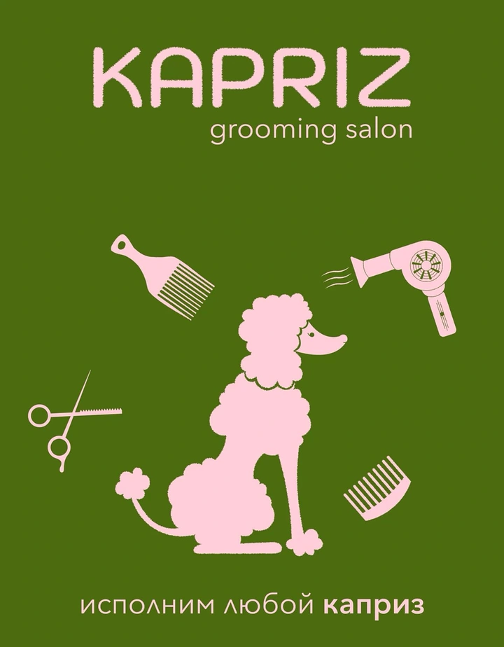 Pet Grooming creative ad: Poodle silhouette with grooming tools, bold branding