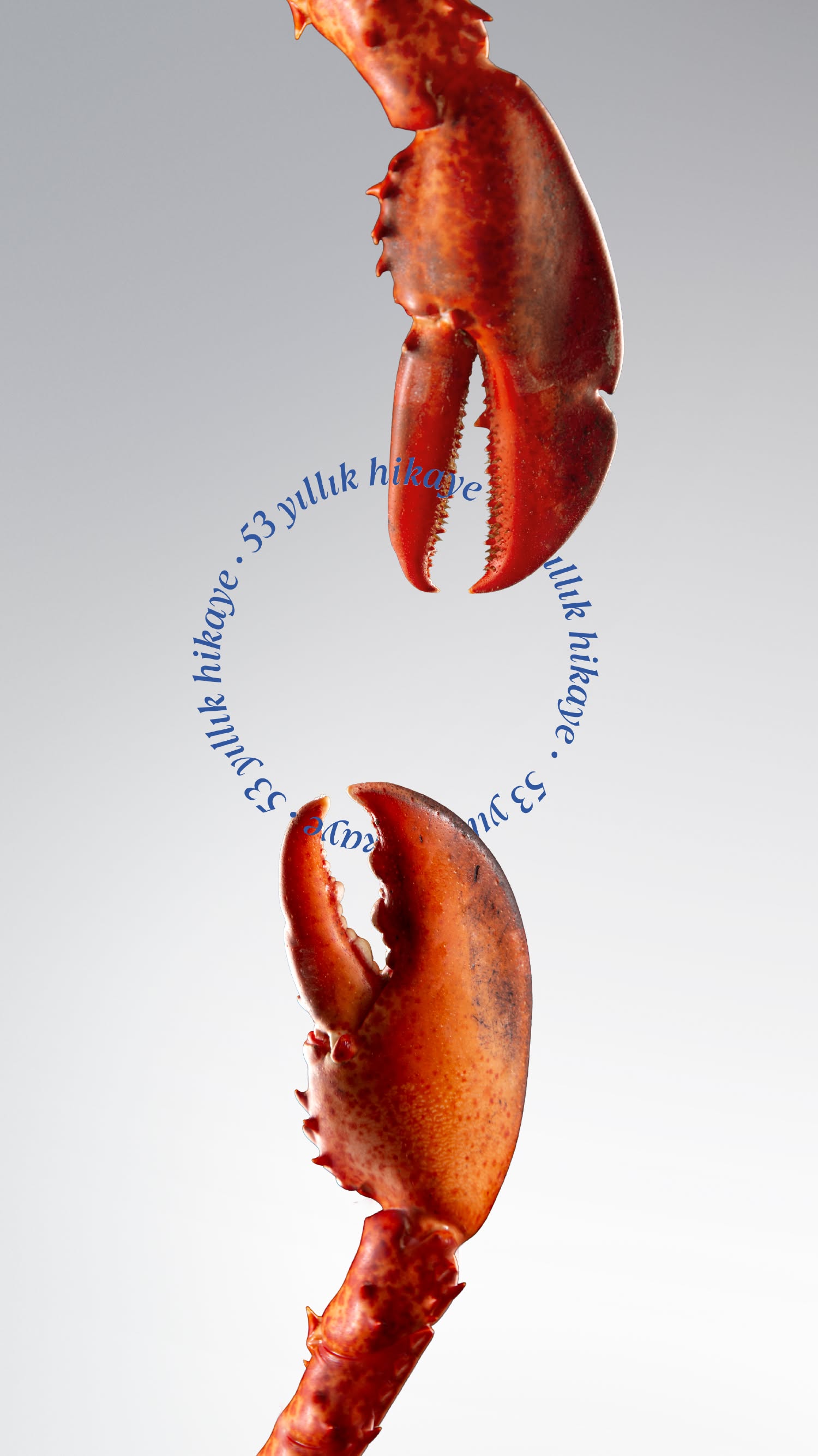 Story: Lobster claws create unexpected circular frame