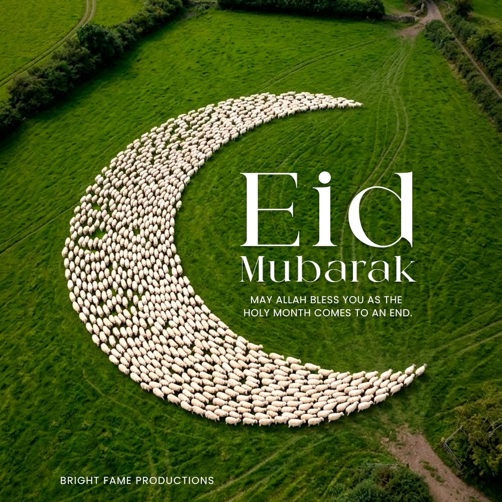 Aerial view of a flock of sheep forming a crescent on grass