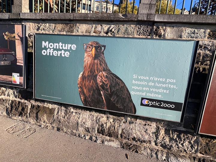 Opticians & Eye Care creative ad: Eagle-eye hawk sells free frames offer