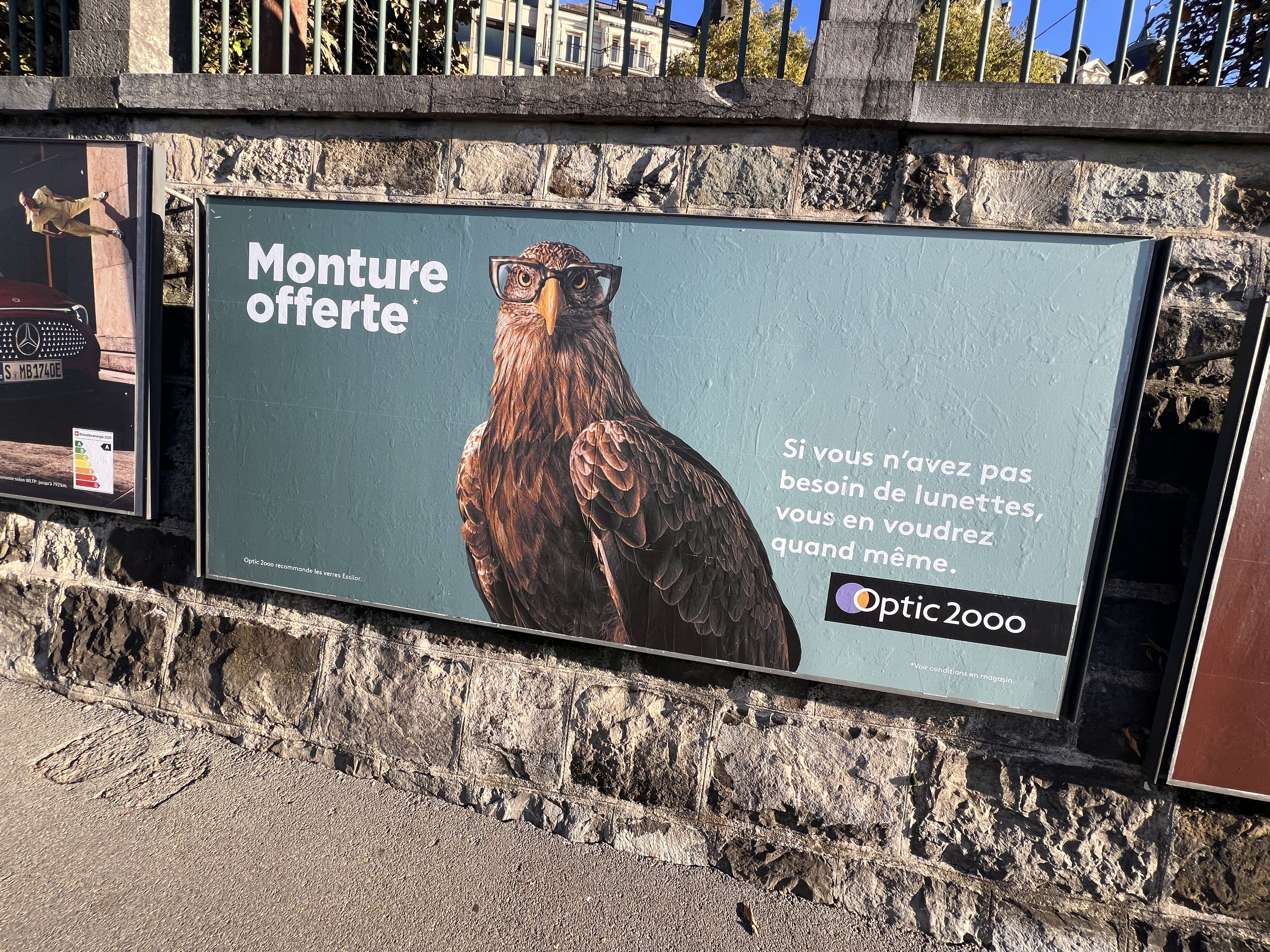 Banner: Eagle-eye hawk sells free frames offer