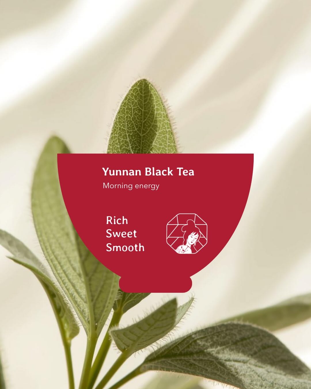 Instagram post: Red bowl shape framing tea leaf, slide 1