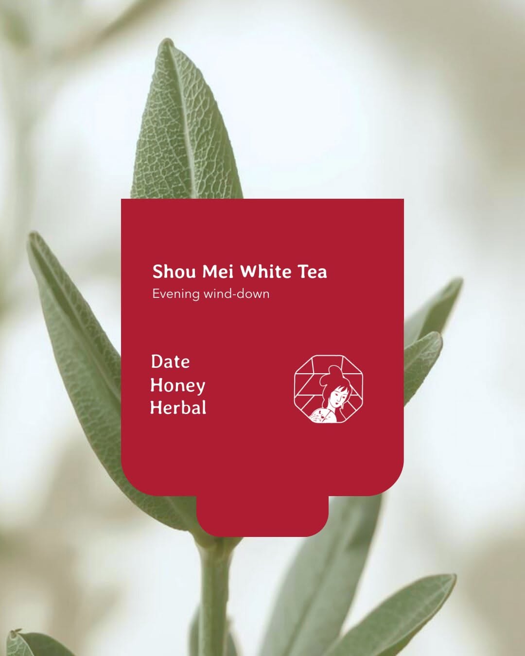 Instagram post: Red bowl shape framing tea leaf, slide 4