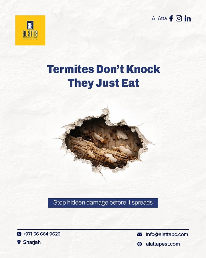 Pest Control creative ad: Eaten wall hole: termites don't knock