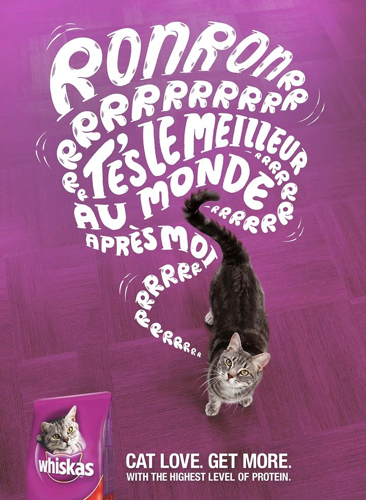 Pets creative ad: Tabby cat looking up with a trail of hand-lettered purr text flowing from its tail