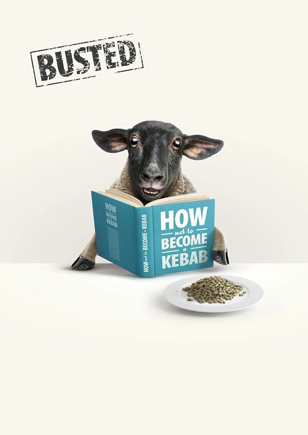 Arabic & Middle Eastern Restaurants creative ad: Sheep reading kebab transformation joke