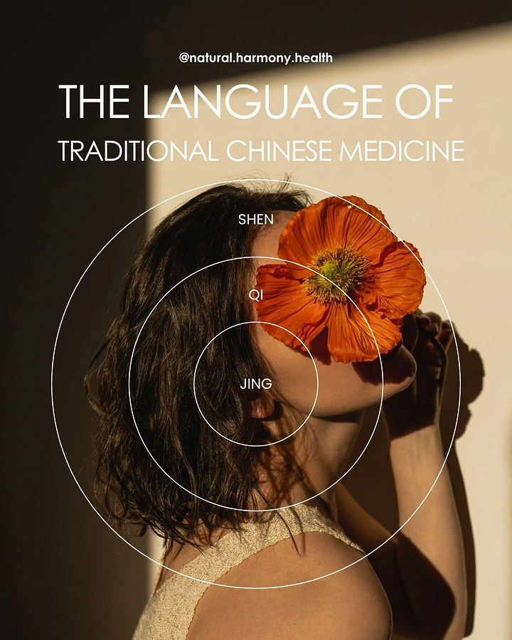 Acupuncture & Cupping Clinics creative ad: Flower-and-meridian metaphor for TCM principles