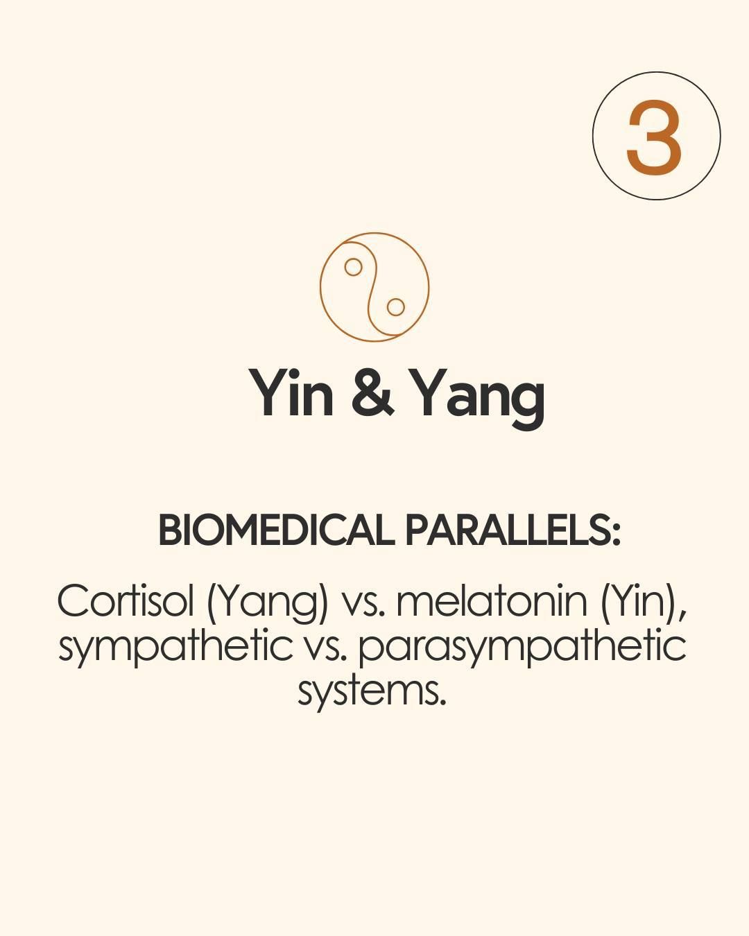 Instagram post: Flower-and-meridian metaphor for TCM principles, slide 4