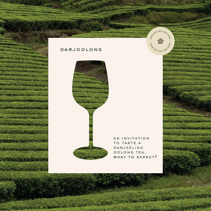 Tea & Chai Brands creative ad: Wine-glass silhouette cut out of an off-white card, revealing the tea garden behind it