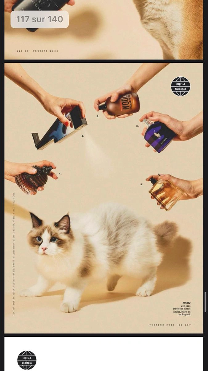 Pet Grooming creative ad: Many hands grooming cat, striking composition