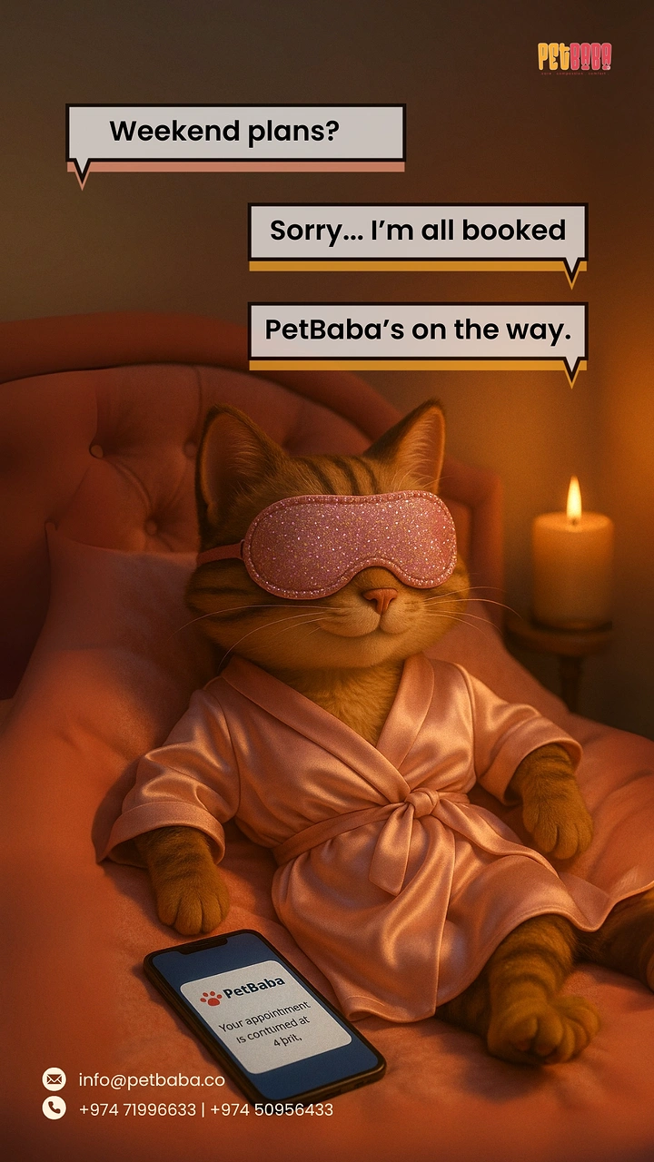 Pet Grooming creative ad: Spa-robed cat 'all booked' chat joke