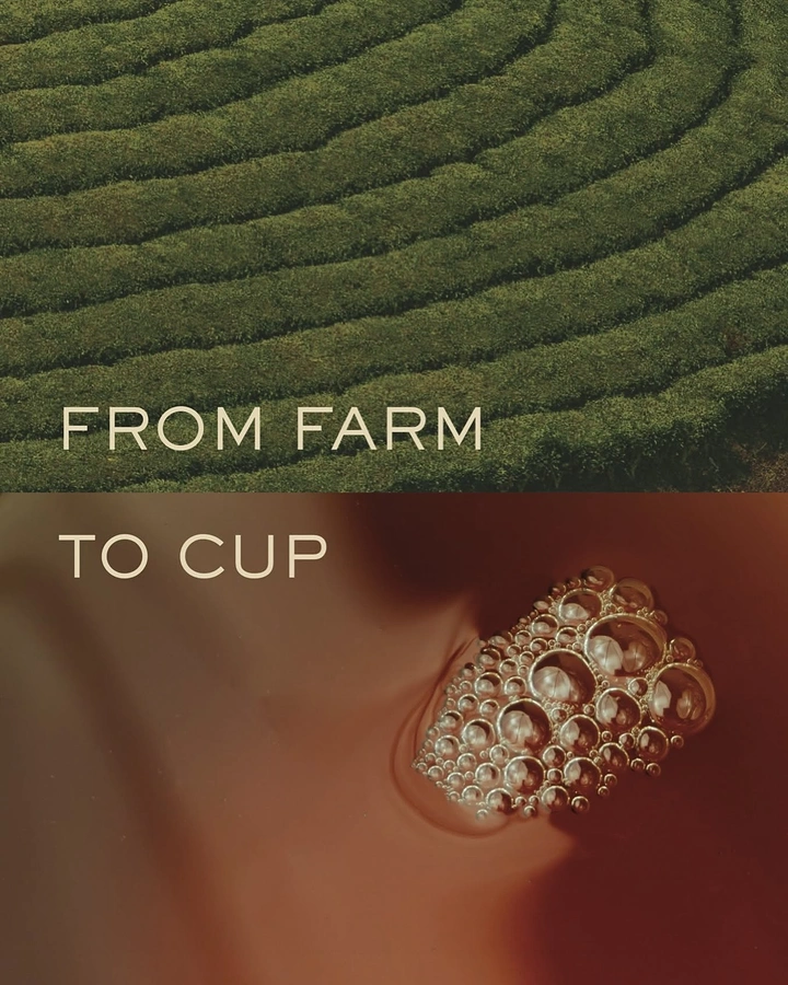 Tea & Chai Brands creative ad: Farm terraces split into cup, farm-to-cup