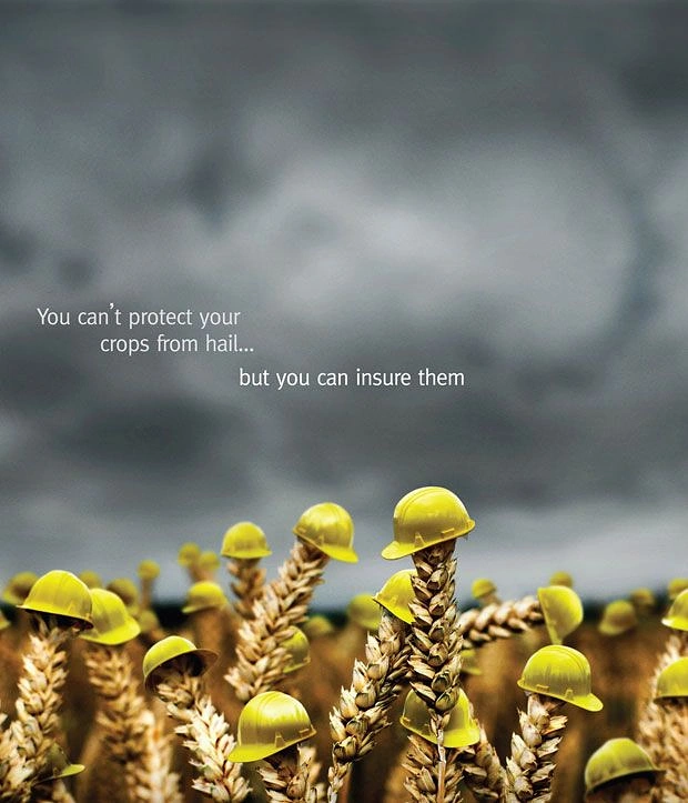 Creative ad: Wheat stalks wearing tiny yellow hard hats under stormy sky