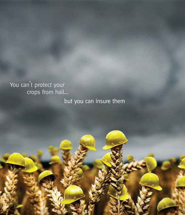 Poster: Wheat stalks wearing tiny yellow hard hats under stormy sky