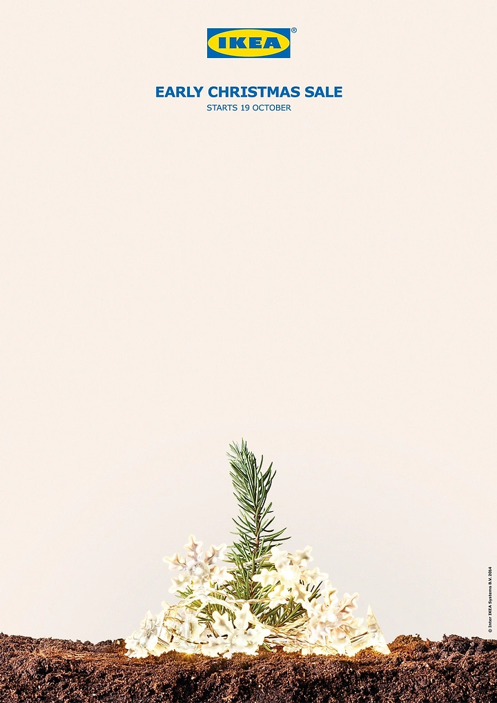 Christmas creative ad: Tiny pine sapling sprouting from soil wrapped in star fairy lights