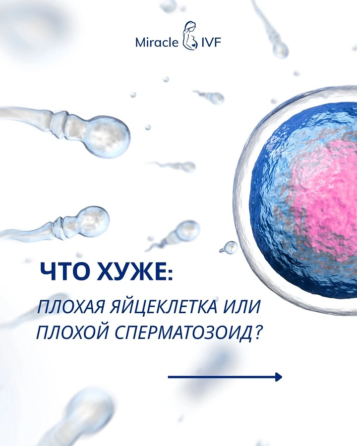 IVF & Fertility Clinics creative ad: Egg vs sperm question hook, clean