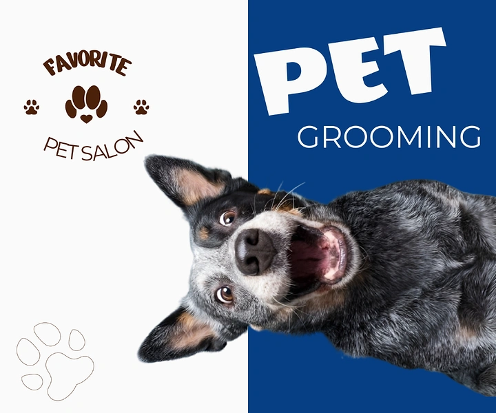 Pet Grooming creative ad: Dog bursting across split panel composition