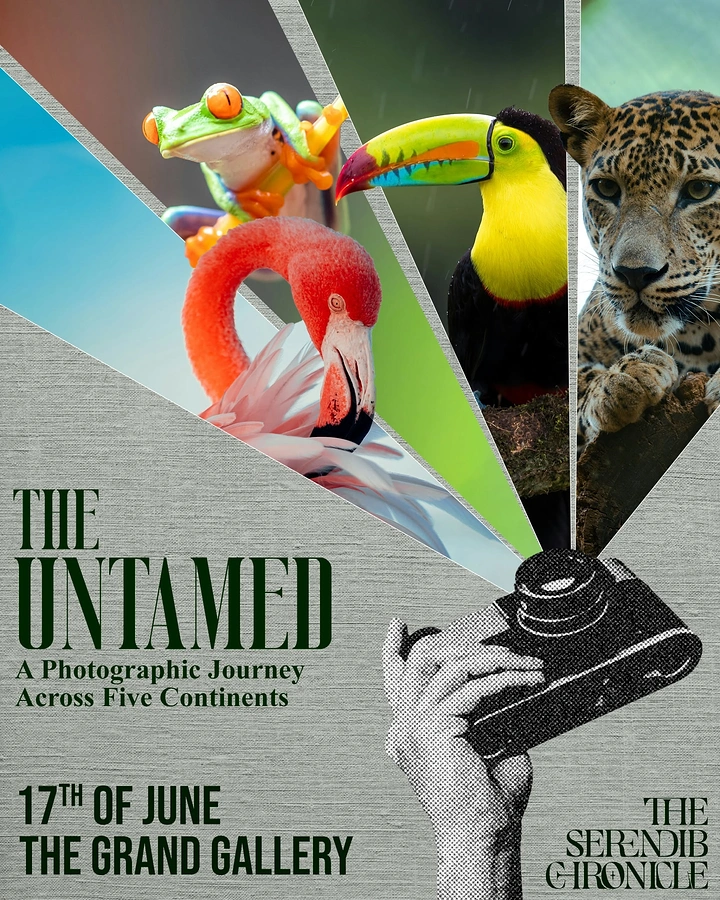 Photography creative ad: Camera beams project wild animals, exhibition