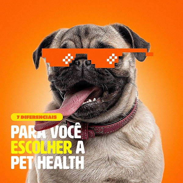 Veterinary Clinics creative ad: Panting pug wearing pixel-art meme sunglasses
