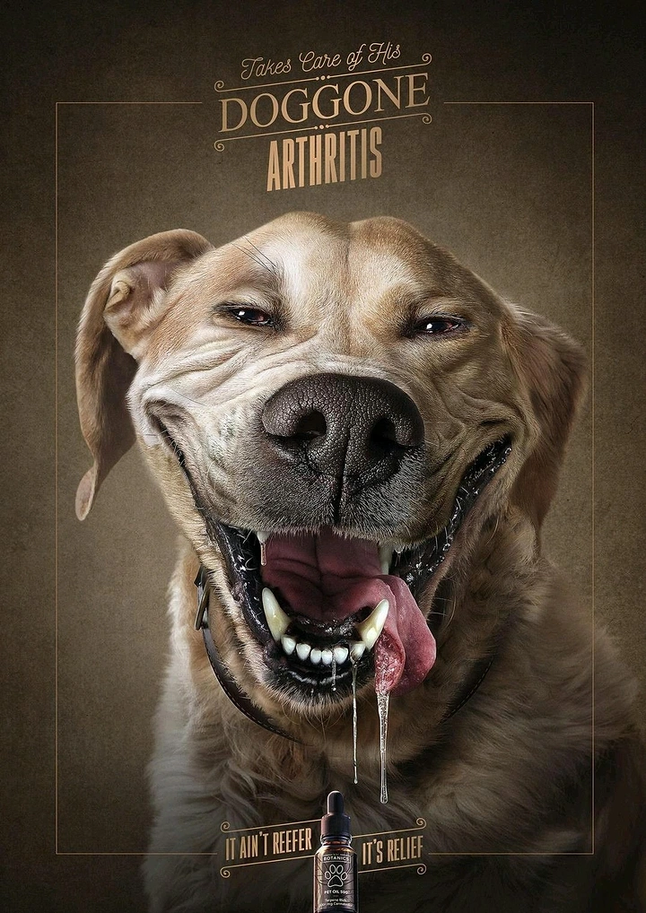 Creative ad: Blissed-out grinning dog with product bottle