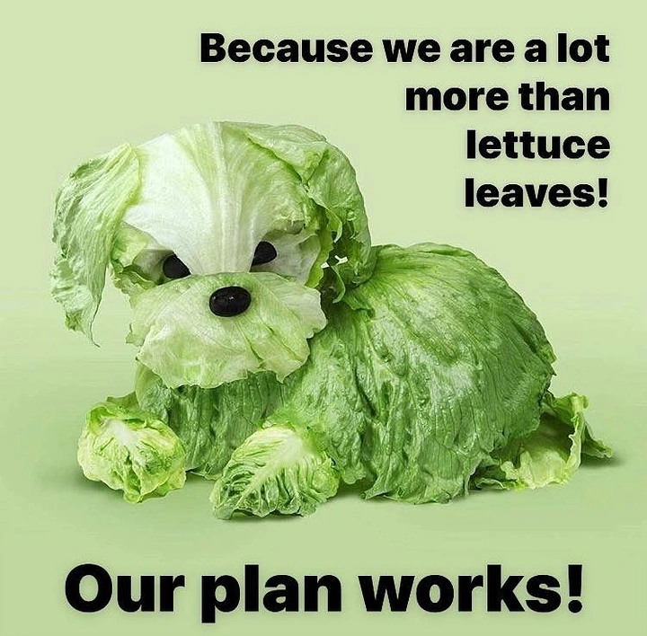 Salad Bars & Healthy Restaurants creative ad: Lettuce character makes witty brand metaphor