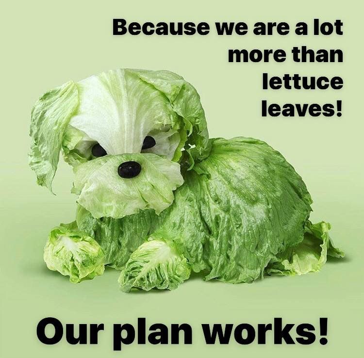 Instagram post: Lettuce character makes witty brand metaphor
