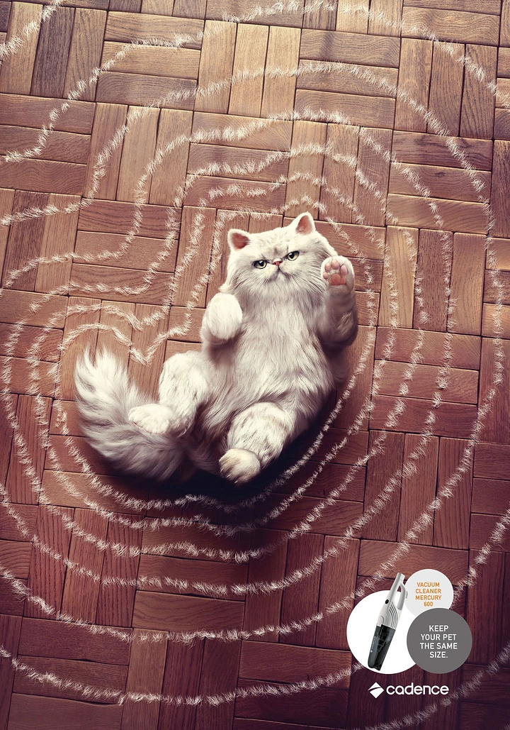 Pets creative ad: Fluffy white cat lying amid spiralling shed fur