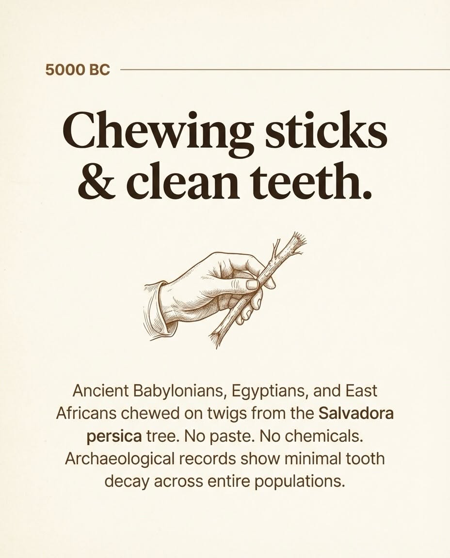 Carousel: Vintage engraved illustration of a human lower jawbone, slide 2