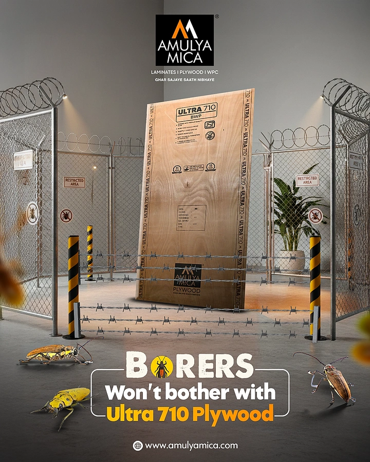 Carpenters & Woodwork creative ad: Plywood guarded like prison against borers