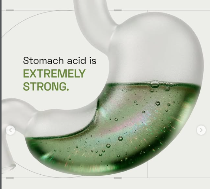 Carousel: Frosted glass stomach half-filled with green acid