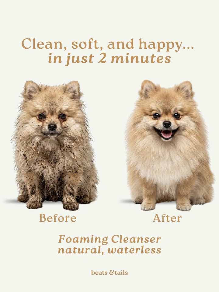 Pet Grooming creative ad: Before/after Pomeranian shows waterless cleanser