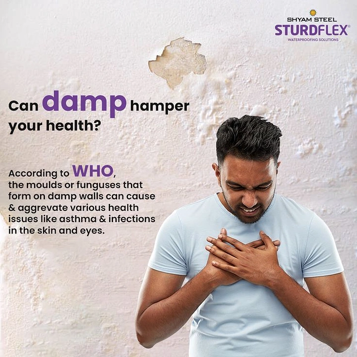 Waterproofing creative ad: Damp-health pun with strong visual storytelling